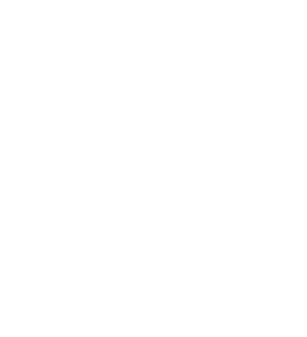 Lervig Logo